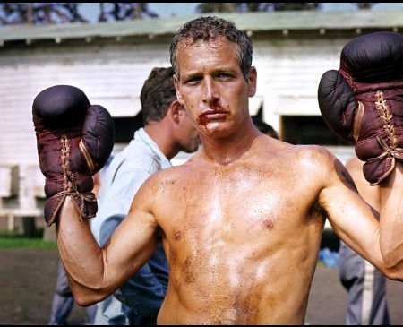 I'd heard about COOL HAND LUKE for most of my life without actually knowing